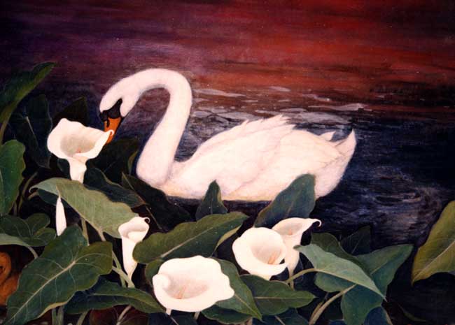 Swan